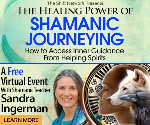 shamanic journey with sandra ingerman banner course