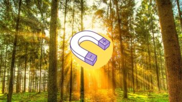 Like attracts Like – The True Meaning