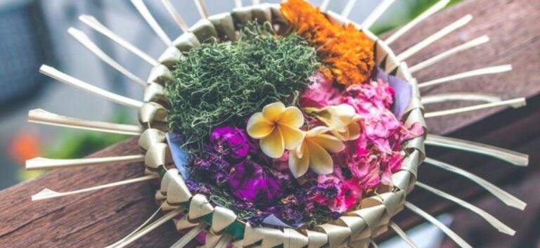 ho'oponopono previous version