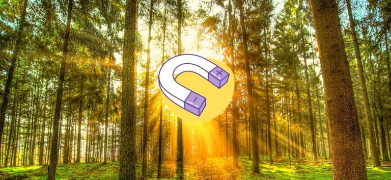 Like attracts like true meaning