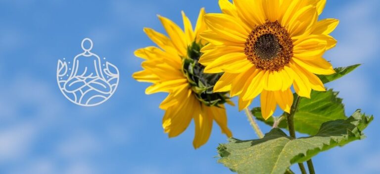 ho'oponopono meditation dr hew len