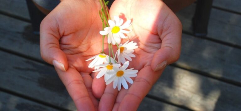 20 tips to practice hooponopono