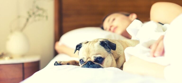 sleep can boost immune system