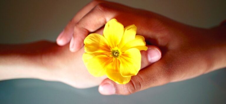 ho'oponopono and law of atraction