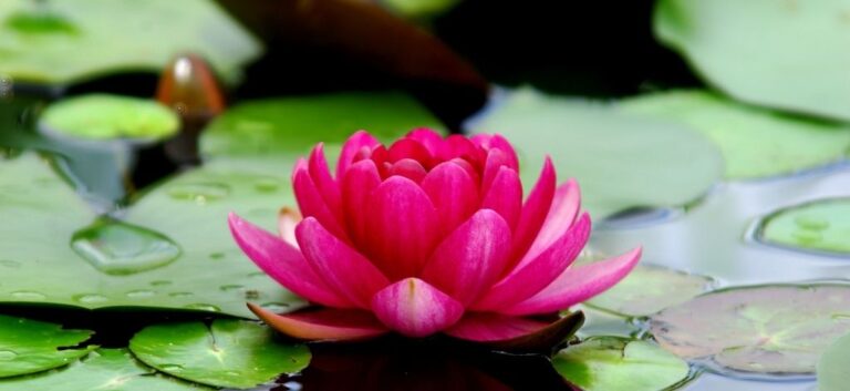 reiki for spiritual healing